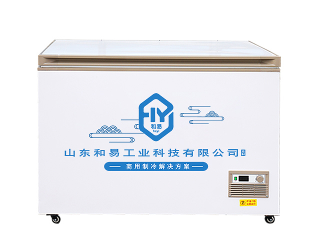 Large-capacity commercial chest freezer